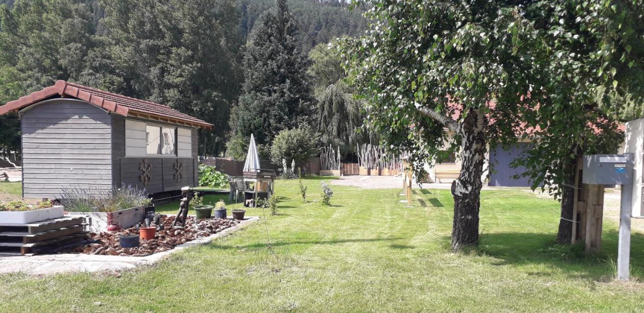 Gites, Les Jonquilles, Le Sagard Et Bungalow Les Brimbelles, Nature Et Detente La Houssiere ภายนอก รูปภาพ
